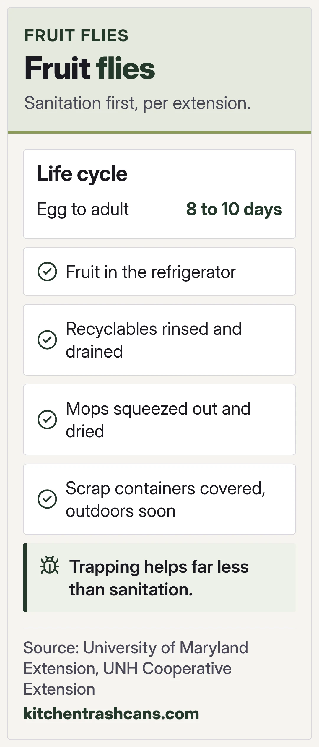 Fruit flies. Sanitation first, per extension.